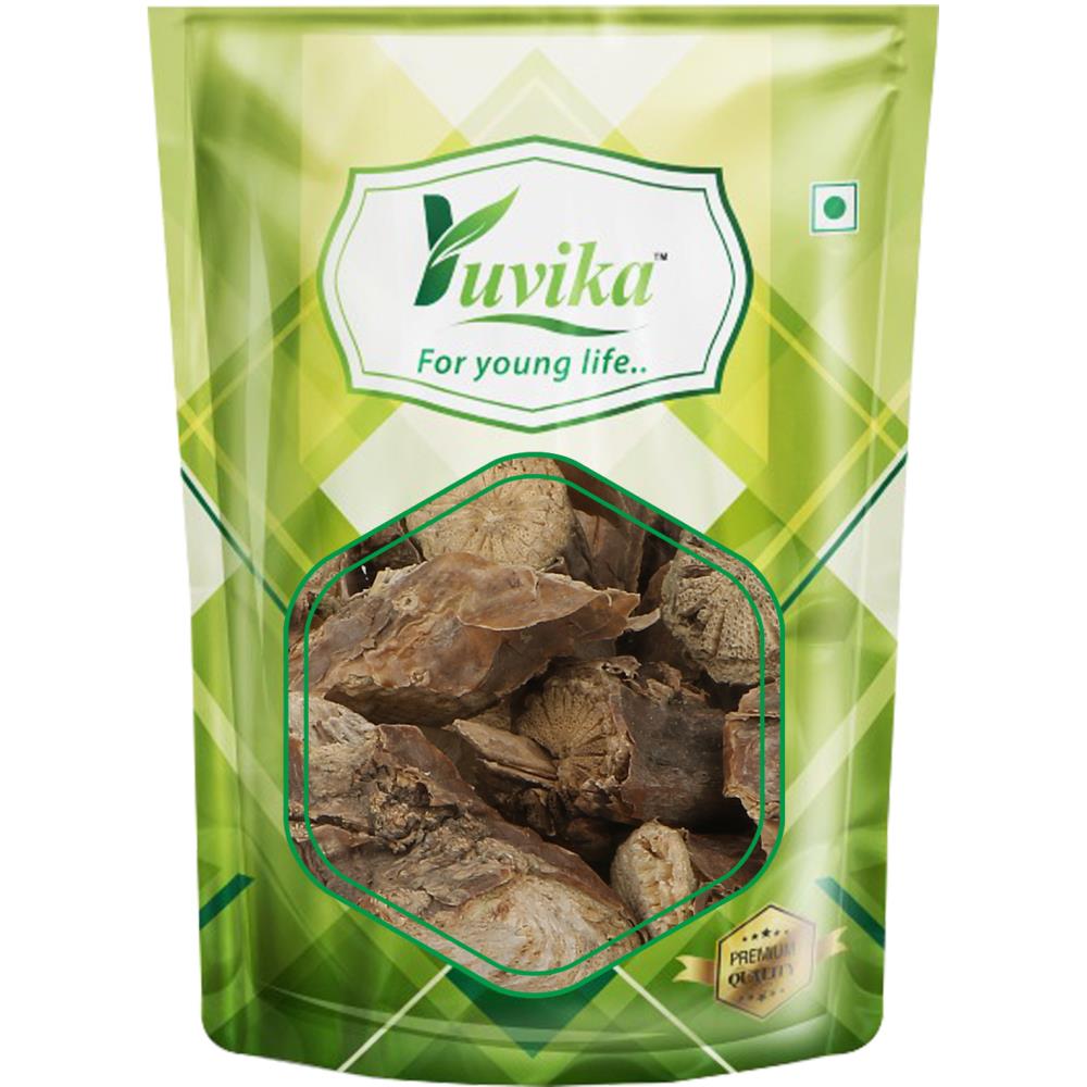 Yuvika Giloy Sabut (100g)