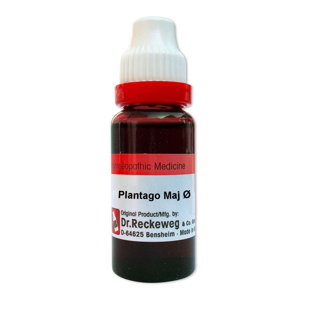 Dr. Reckeweg Plantago Major 1X (Q) (20ml)