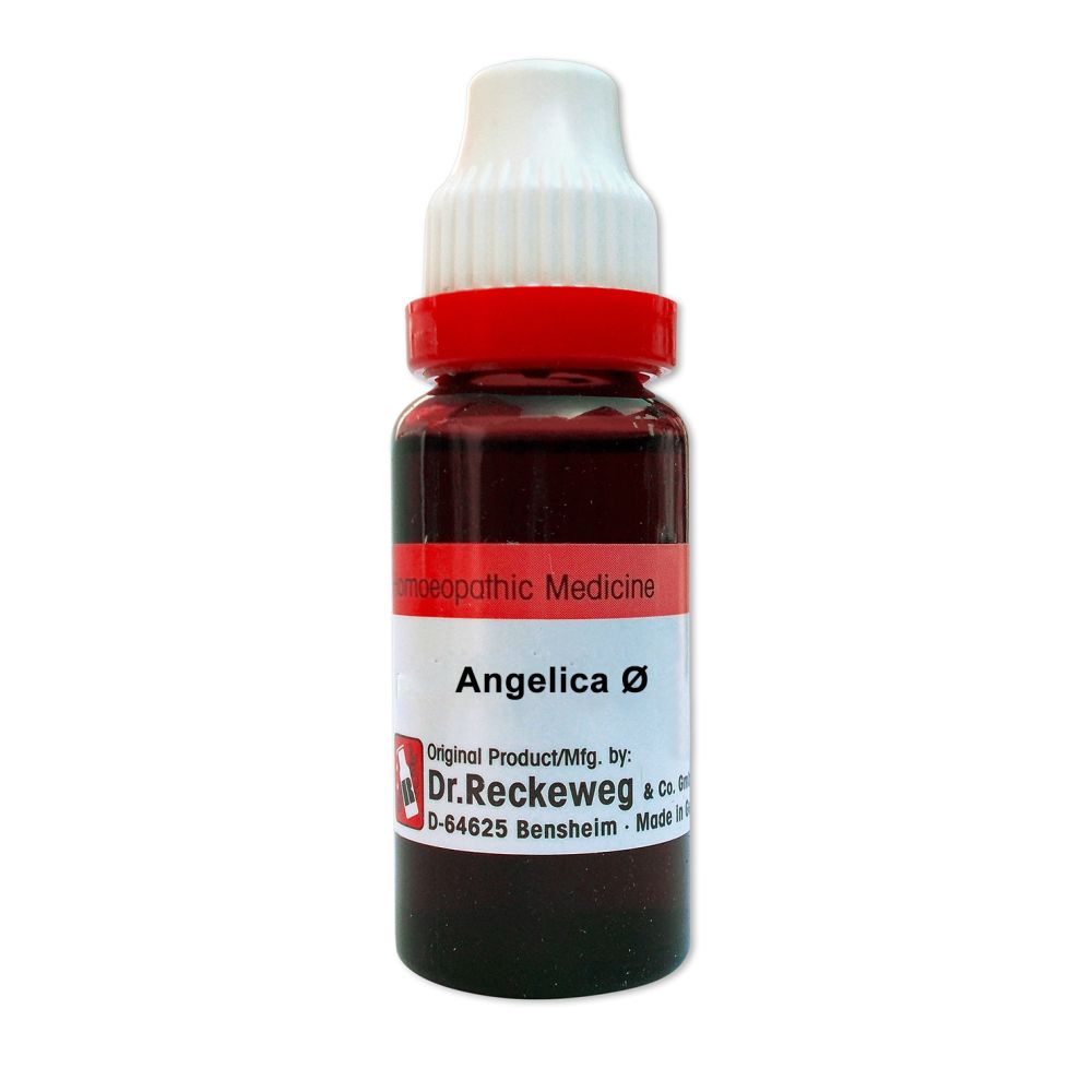 Dr. Reckeweg Angelica Archangelica 1X (Q) (20ml)