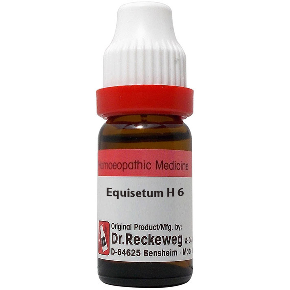 Dr. Reckeweg Equisetum Hyemale 6 CH (11ml)