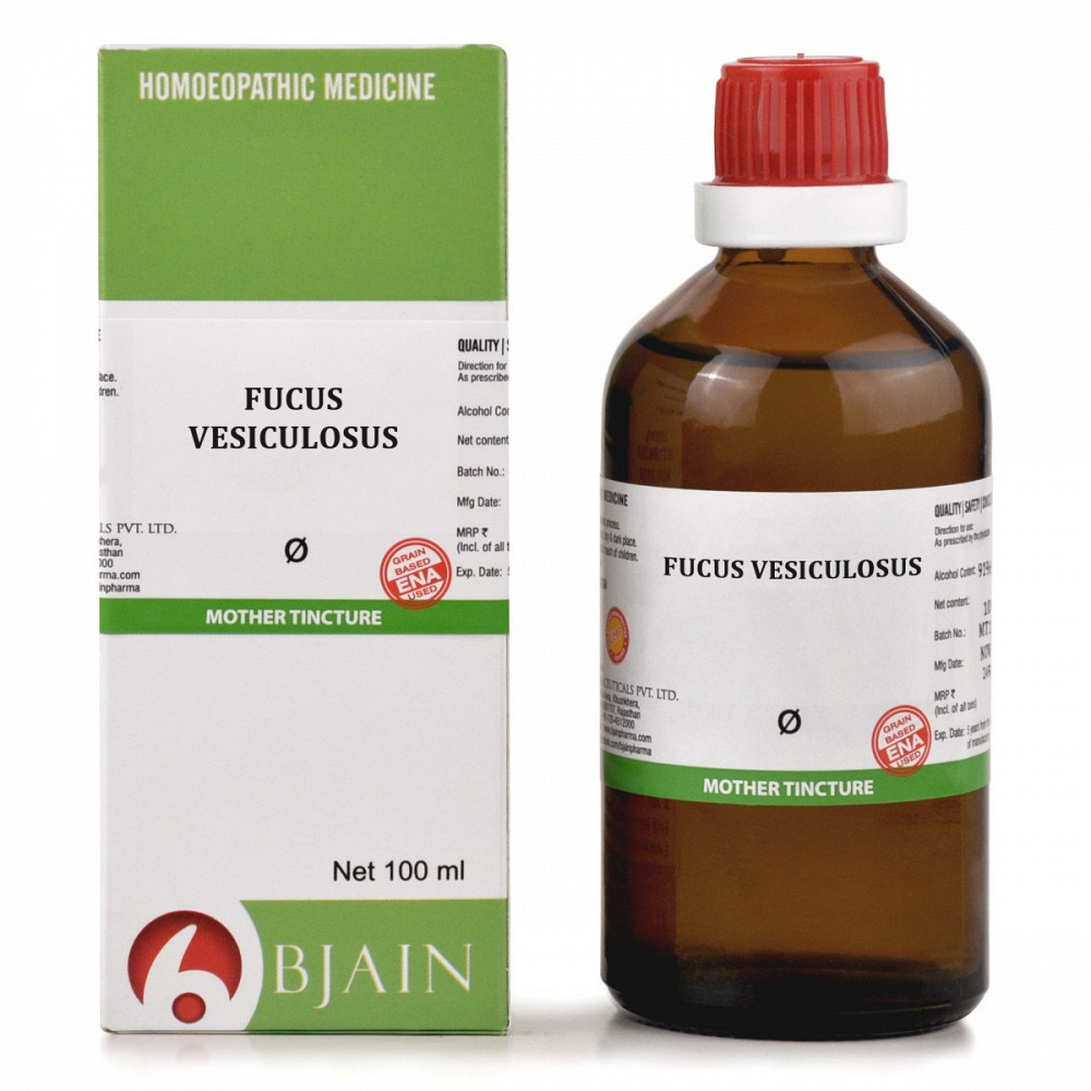 B Jain Fucus Vesiculosus 1X (Q) (100ml)