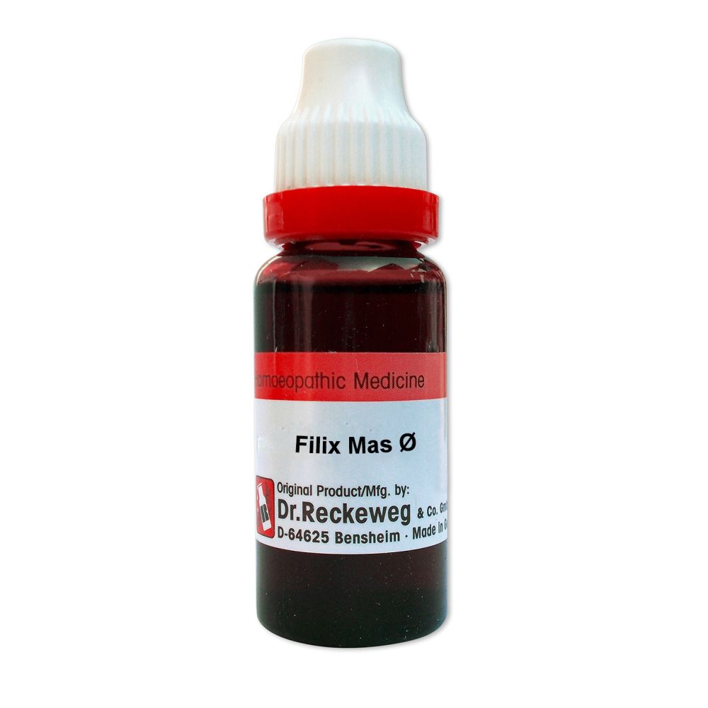 Dr. Reckeweg Filix Mas 1X (Q) (20ml)